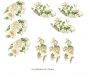 Mistflower-CUps-110mmx9un.jpg