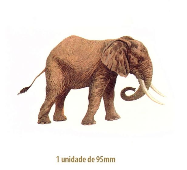 Elephant-95mm.jpg
